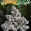 Jungle Mints Jungleboys