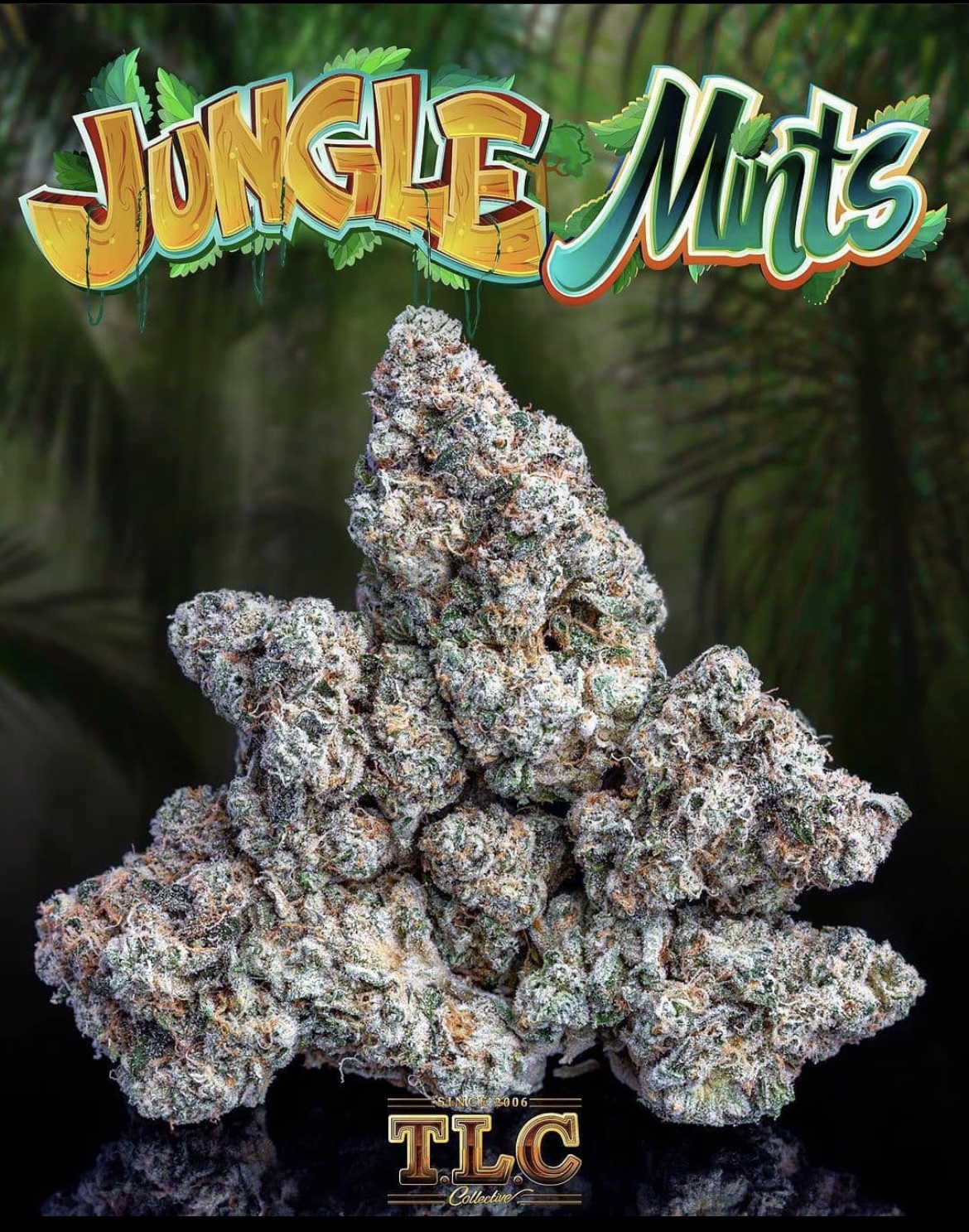 Jungle Mints Jungleboys
