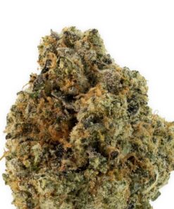 ANIMAL FACE Weed